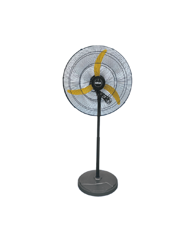 Pedestal Fan
